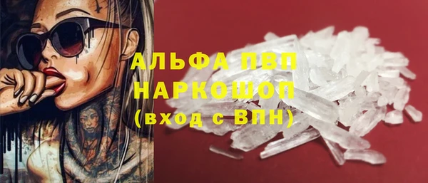 винт Каменка