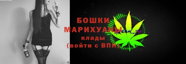 винт Каменка