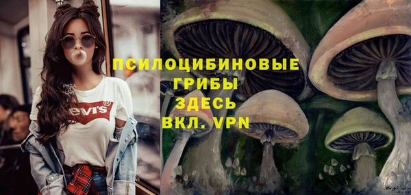 прущие крисы Касимов