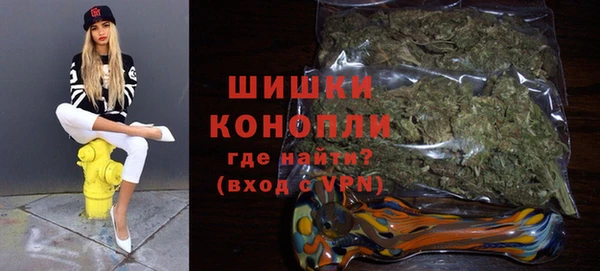 винт Каменка