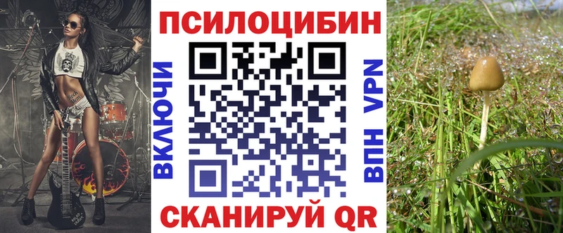 Купить закладки  Жигулёвск  Псилоцибиновые грибы GOLDEN TEACHER 
